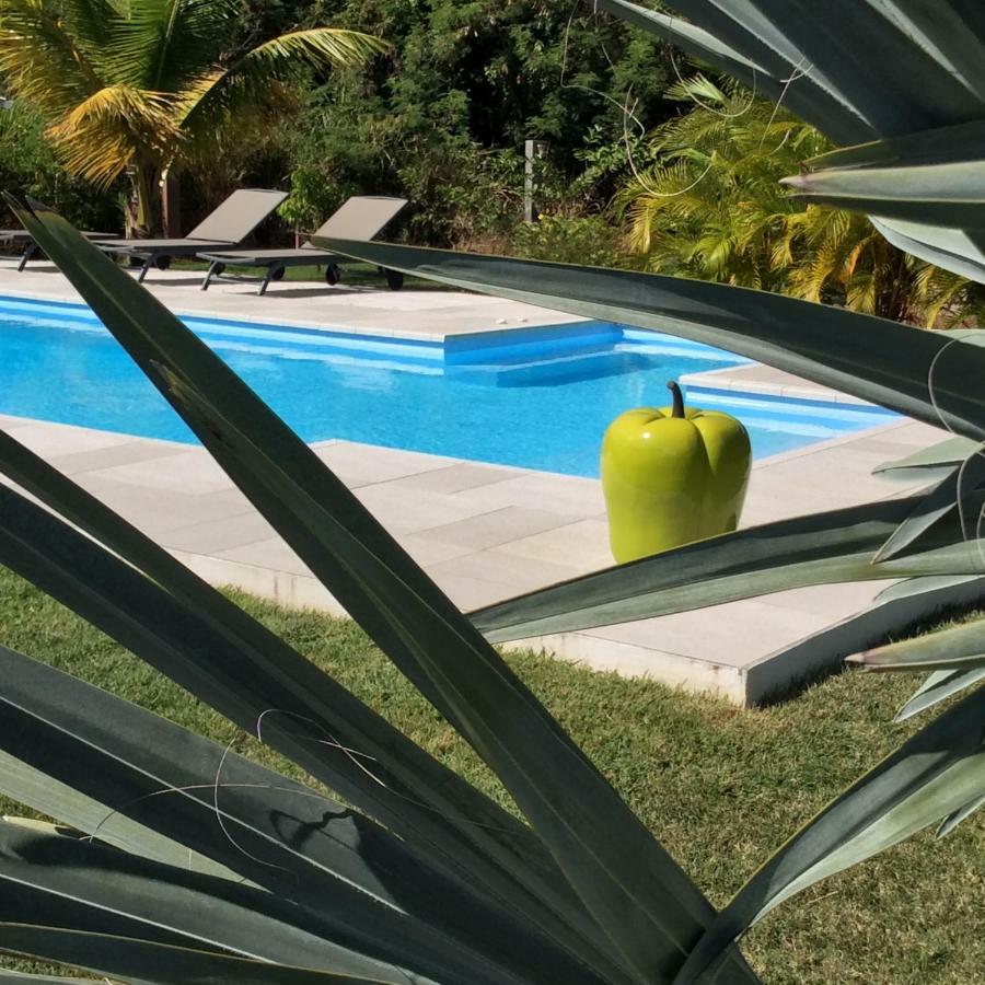 Gite Les Jardins D'Enoha Anse-Bertrand Εξωτερικό φωτογραφία